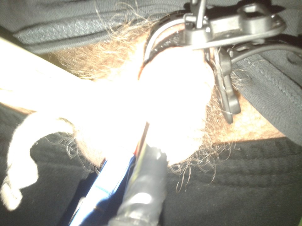 20171112_170546.jpg - janekoko4