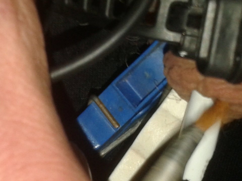 20171112_171025.jpg - janekoko4