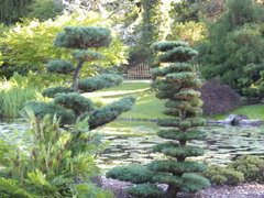 jakie zdjęcia chcielibyście zobaczyć