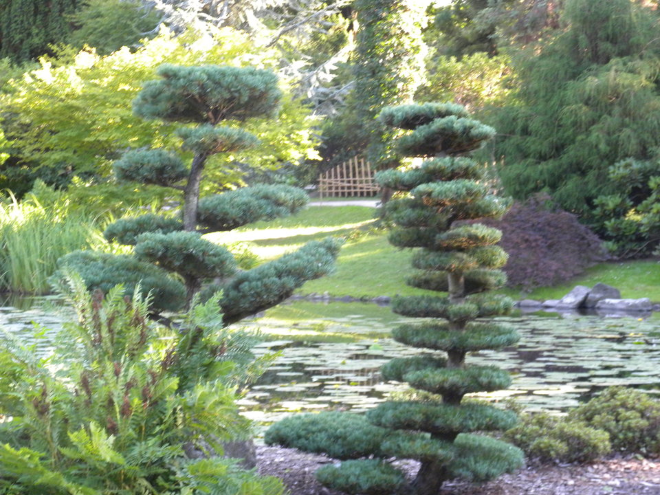 jakie zdjęcia chcielibyście zobaczyć - comeback7172