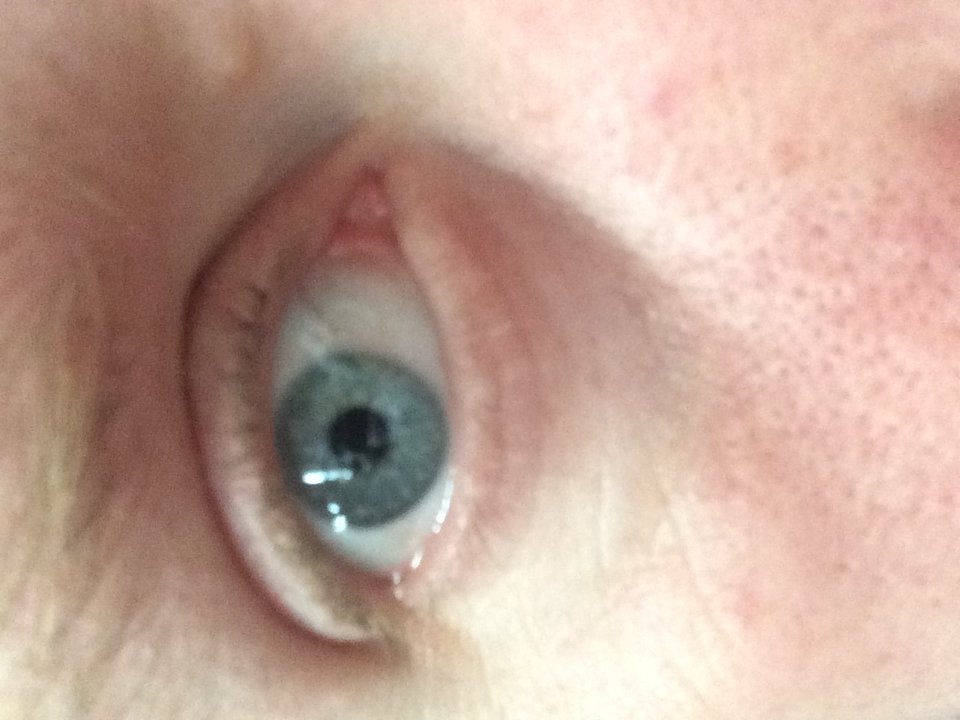 0BDECC8B-8C28-4032-AE72-3BBACD742241.jpeg - Wazon360