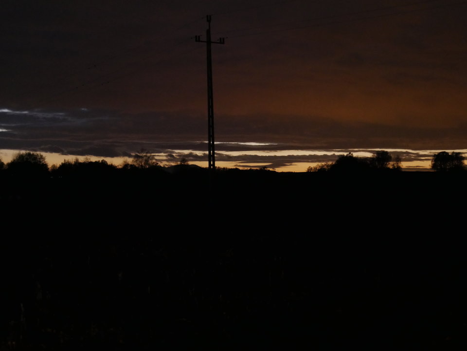 _1000338.JPG - FoKam431