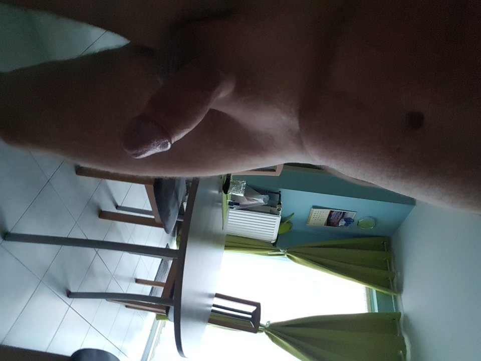 20171119_084256[1].jpg - lechu1975