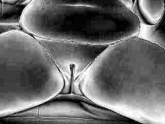 zdrowa dorodna dupka .jpg