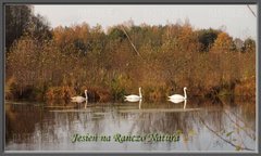 IchTroje u Nastroje3