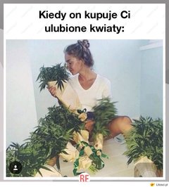 photo.jpg