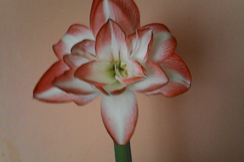 IMG_20170219_113650 (1).jpg - pionier_tu