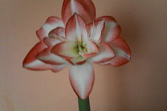 IMG_20170219_113650 (1).jpg