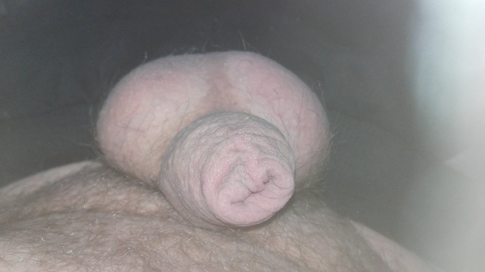 1511704846517-462047625.jpg - miro1011