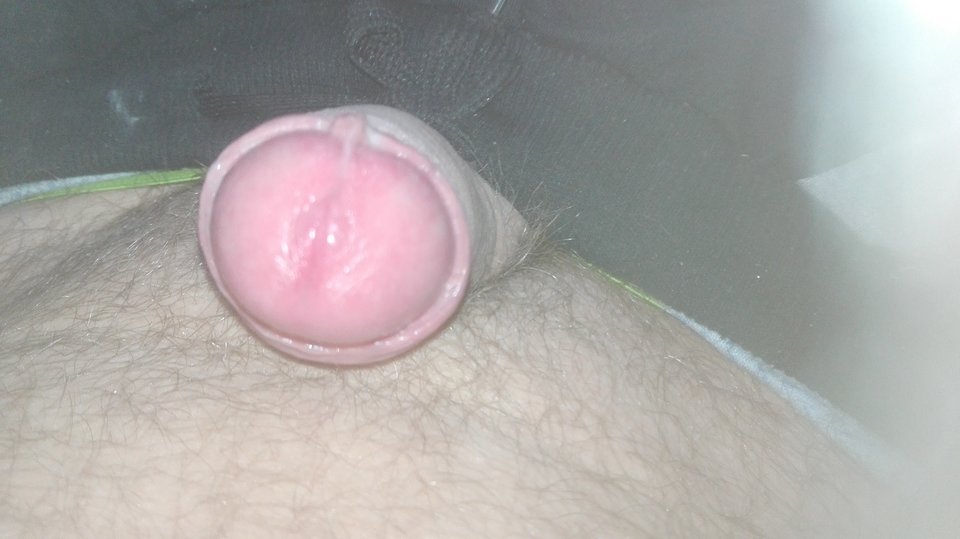 1511708172877183827323.jpg - miro1011