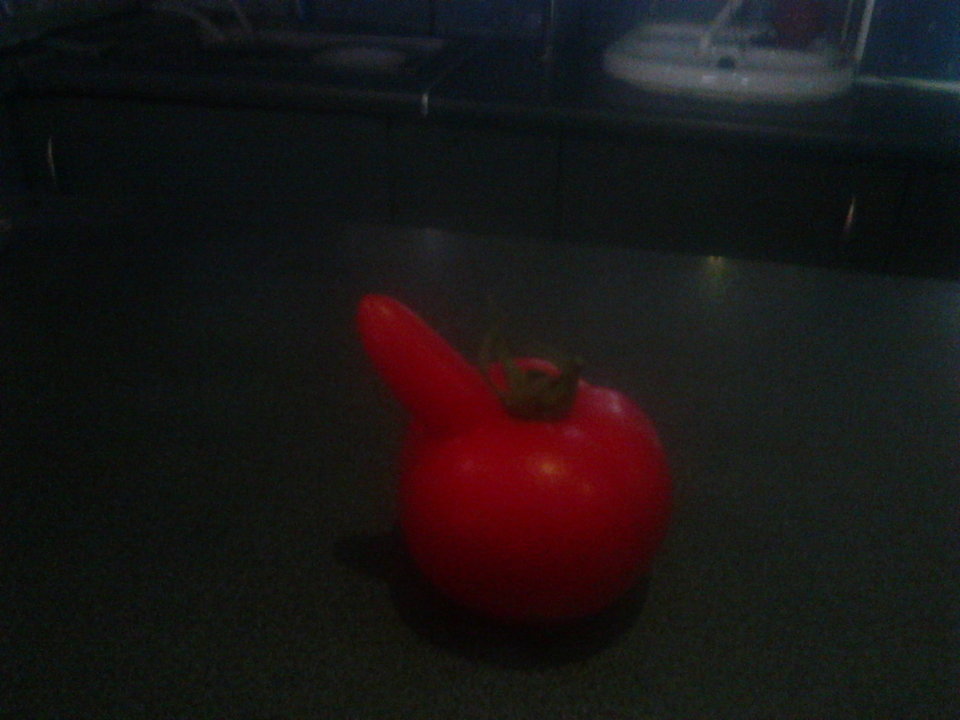 IMG00161.jpg - synkek