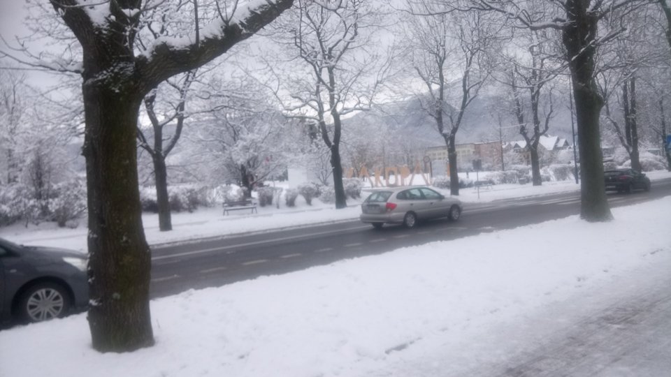 DSC_0591.JPG - misiaki2016