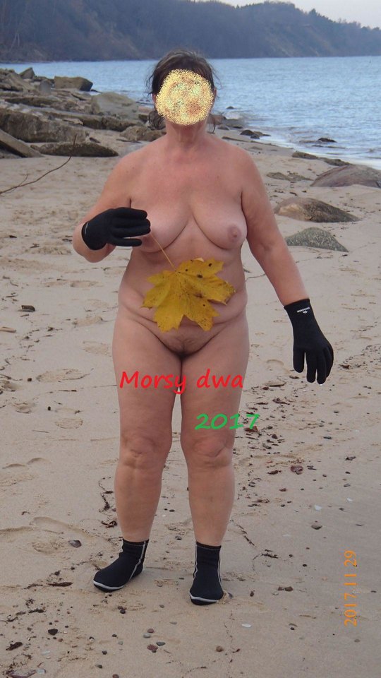 Liść klonu - Morsy_dwa