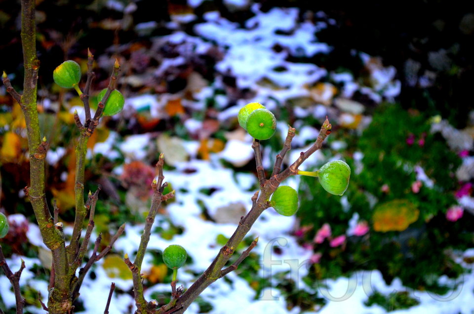 Figi mi zmroziło :-o - frocio