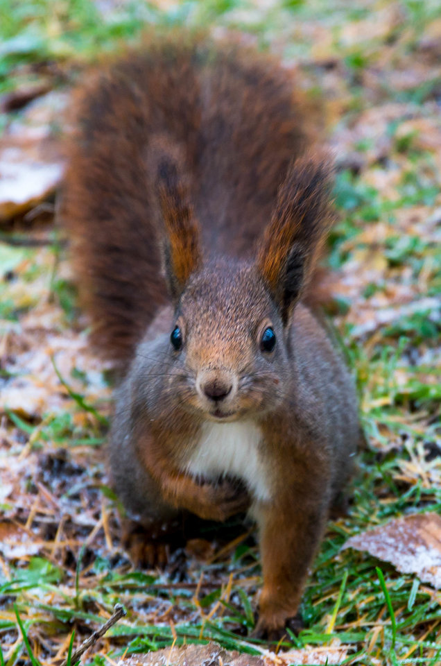 A ja znowu bez stanika... - mystic