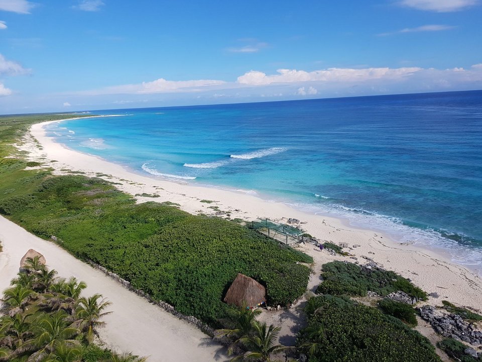 48A7C13D-7F07-442C-875E-661A4A1EB23E.jpeg - ternate3