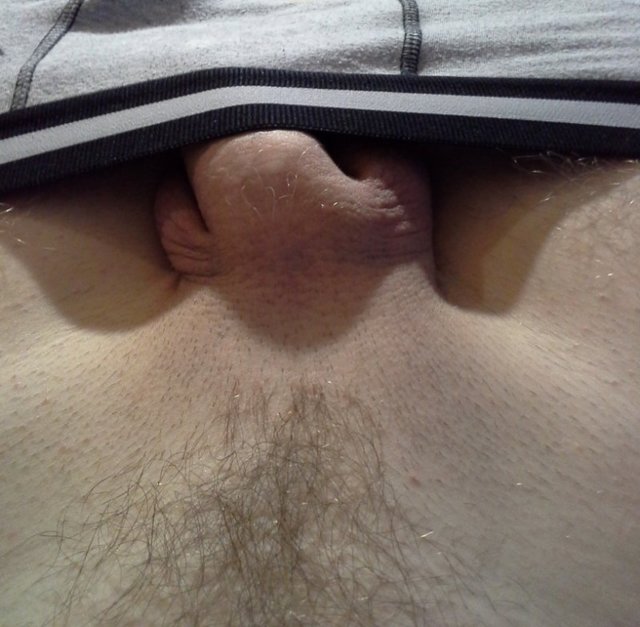 1093596_2c2c6d481fc3ce2f1dba54129dcef7df_page.jpg - Elw123