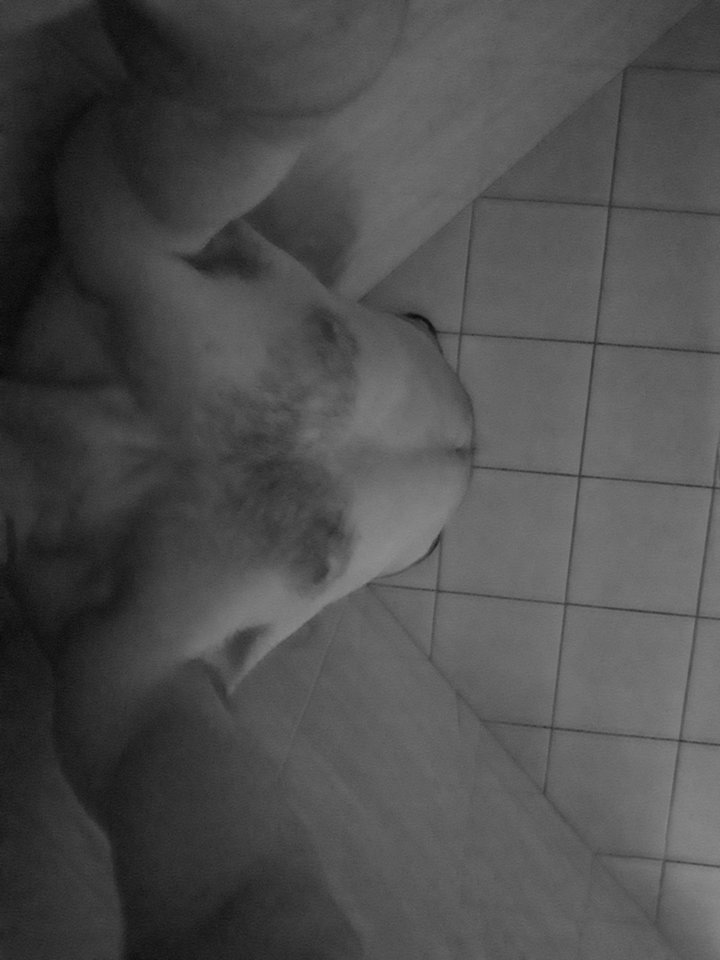 20171206_224652.jpg - mmm03