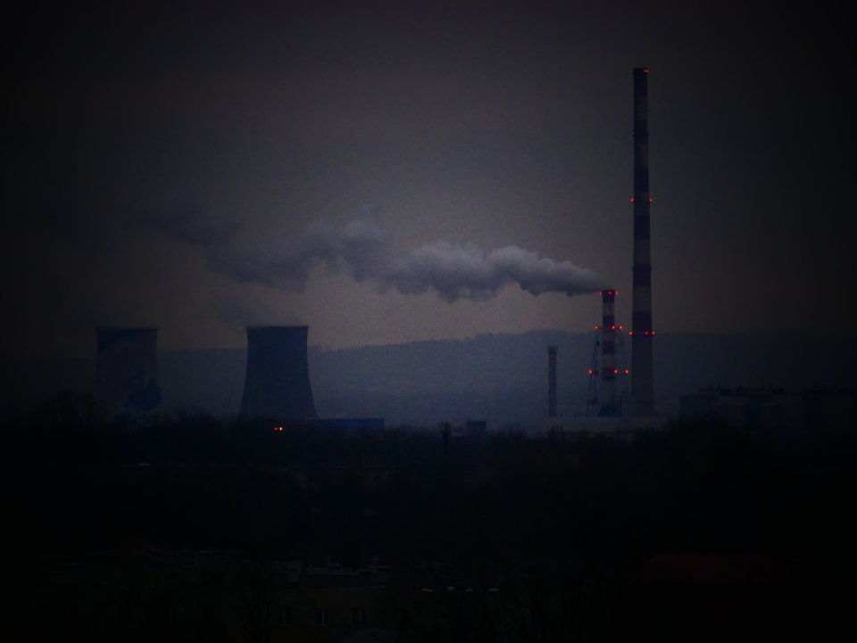 P1000580.JPG - FoKam431