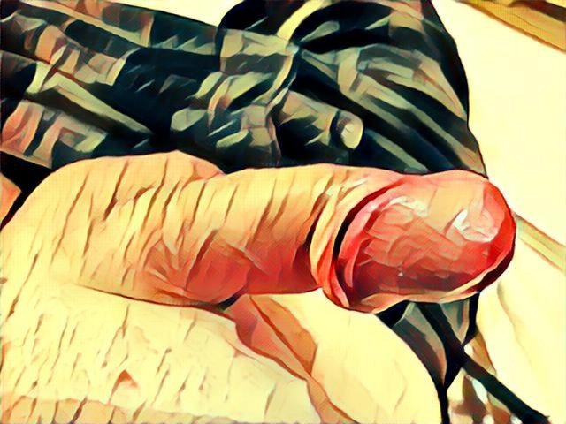 img1512714034119.jpg - dino8