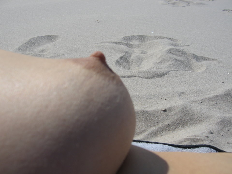 IMG_8434.JPG - BORSUK100