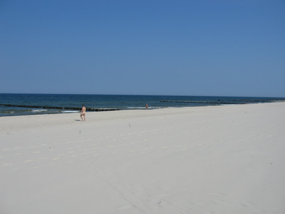 IMG_8433.JPG - BORSUK100