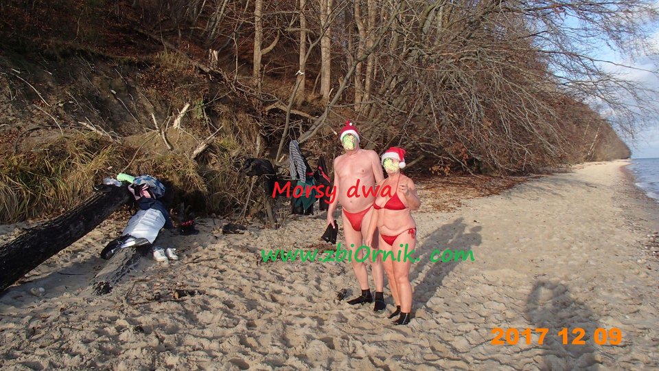 Wyszliśmy z morza. - Morsy_dwa