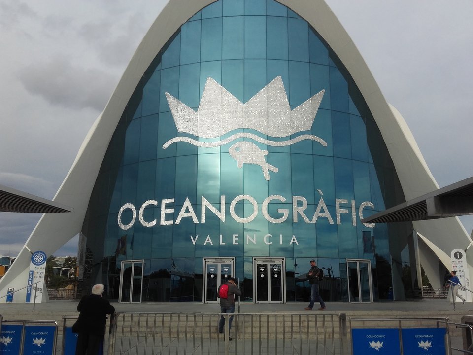 20171210_154824.jpg - on68ona73