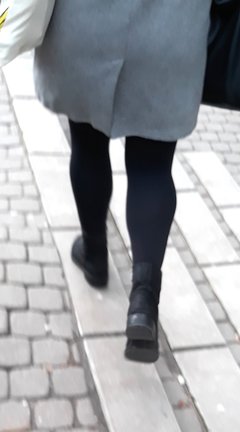 201712126cz.jpg