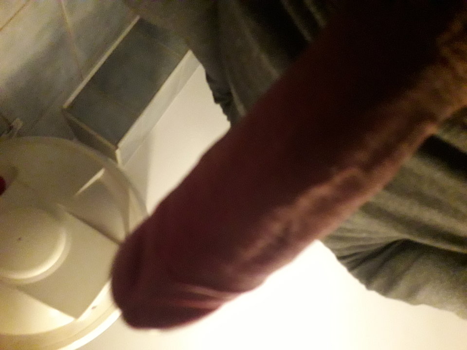 15133130117952017037923.jpg - Matizii