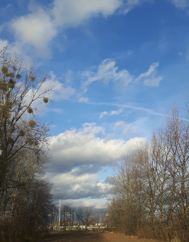 niebo - Cukierki_mniam