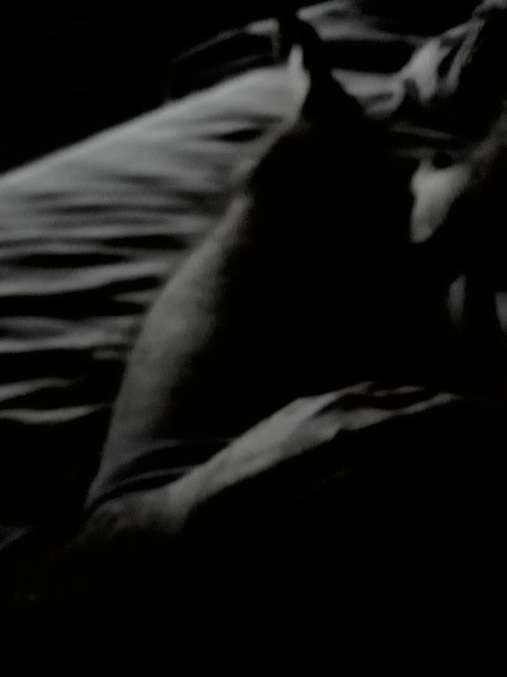 20171217_073822.jpg - nemo4080