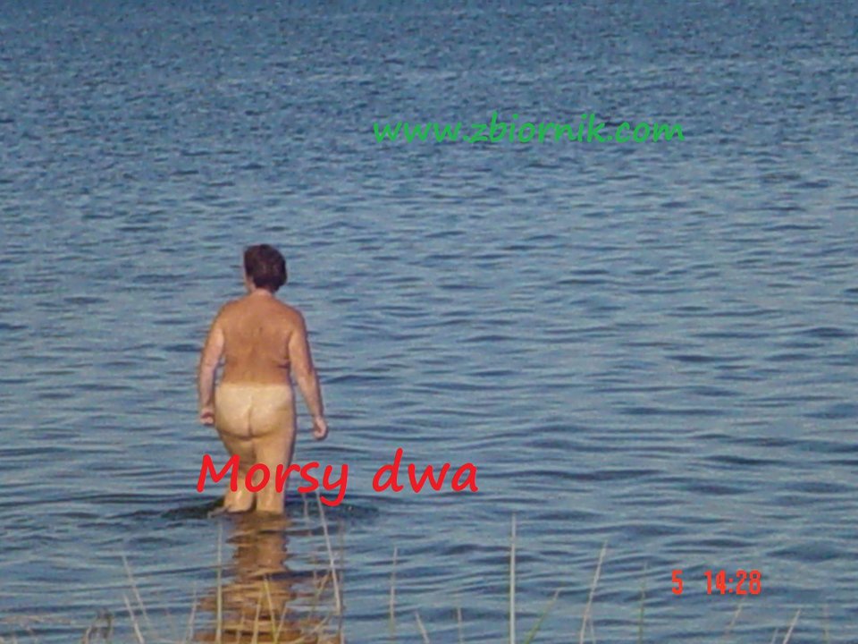 Zatoka Pucka - Morsy_dwa