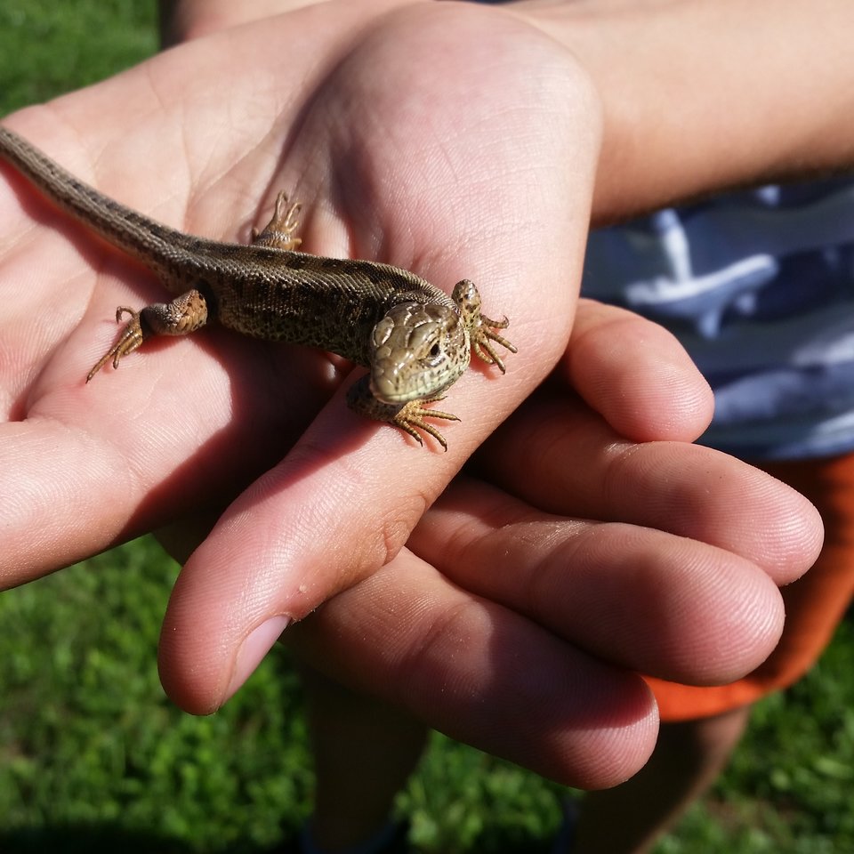 A to Polska właśnie... - 1975on