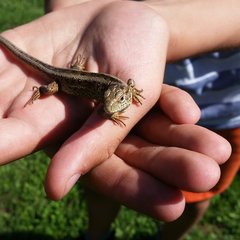 A to Polska właśnie...