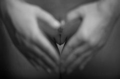 Lasy ptaków pełne śpiewem rozbrzmiewają