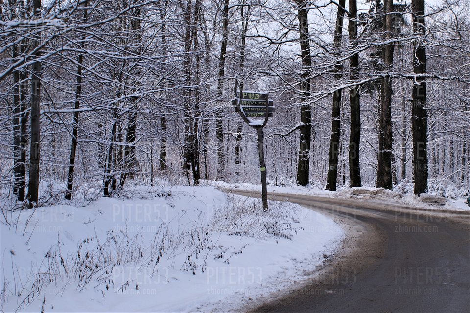 Obraz 039.jpg - Piter53