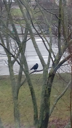 ech, deszczowo za oknem