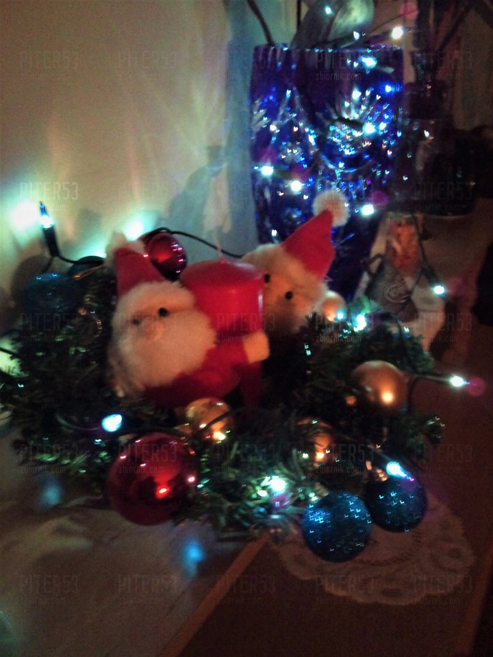 DSC_0217.jpg - Piter53