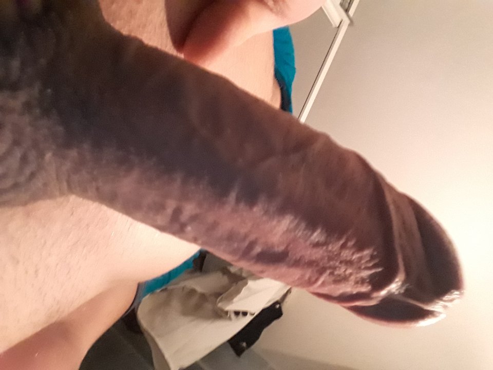 15144089047202000676021.jpg - Matizii