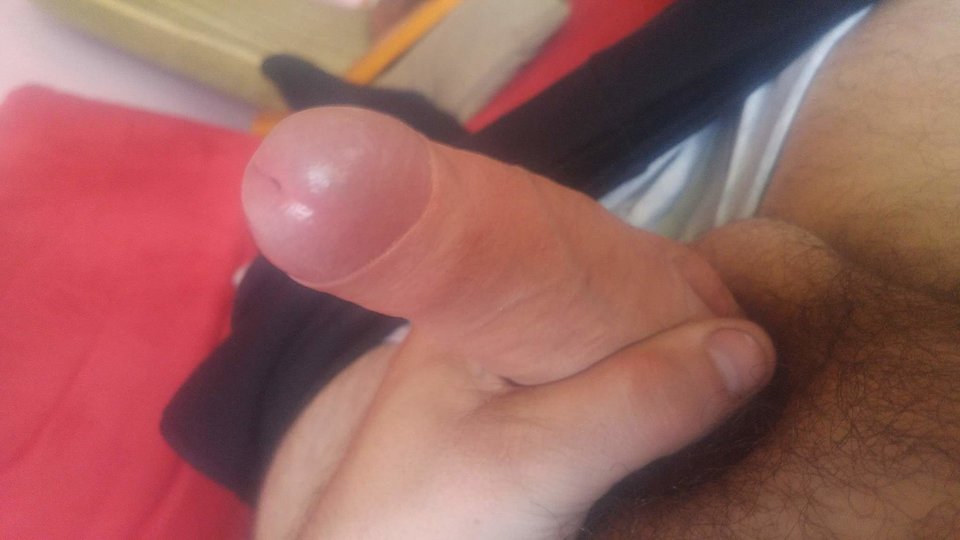 received_313972625714218.jpeg - Radeknl14