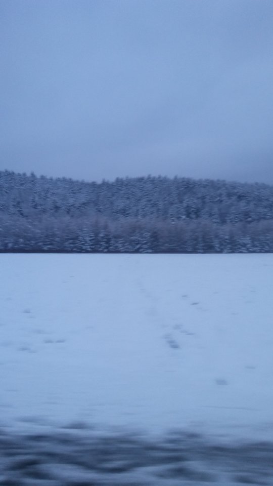 20171229_154056.jpg - ewawojtek8074