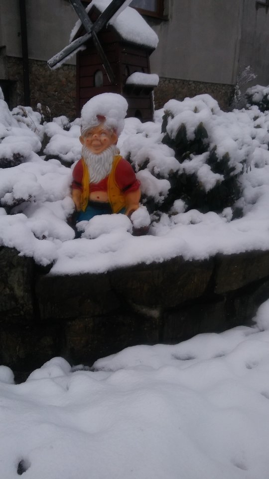 20171229_114528.jpg - ewawojtek8074