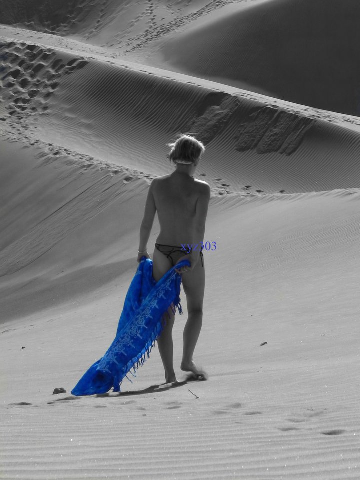 DSCN2017a.JPG - xyz303