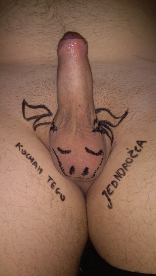 IMG_20180101_151828.jpg - Shibusen