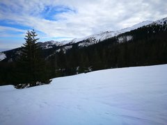 IMG_20180102_160149.jpg