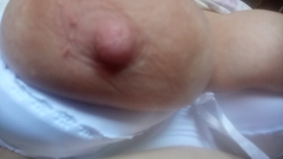 DSC_0046.JPG - misiaki2016