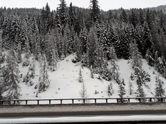 20180109_130711.jpg
