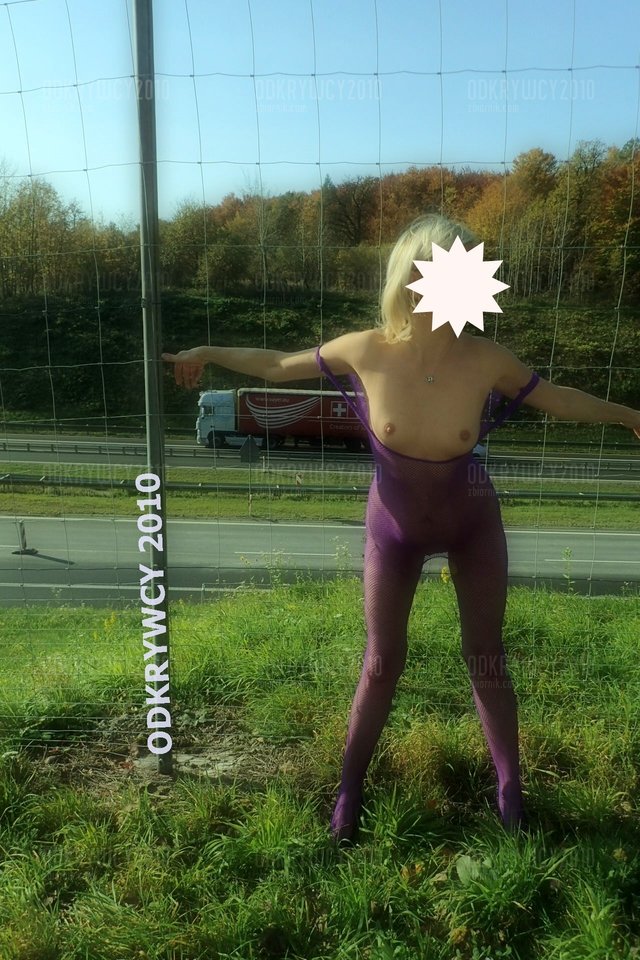 Trąbią i trąbią a mnie dzieli siatka :) - Odkrywcy2010