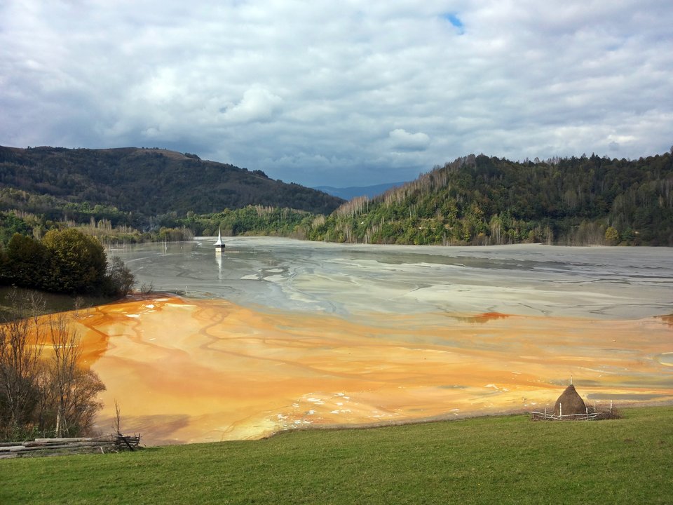 20160926_143116.jpg - merkury40